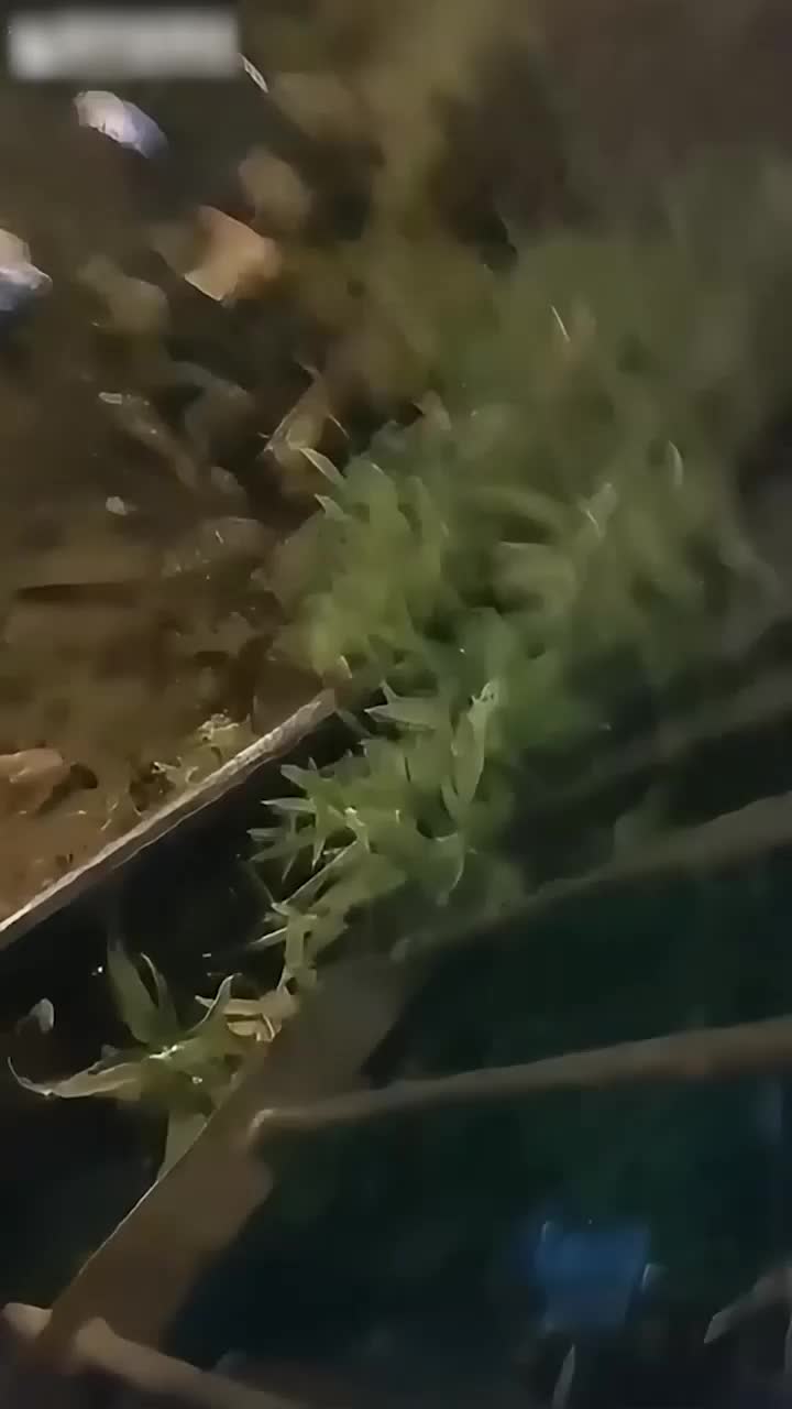 男 同 做爱 视频 - 【翻墙约操女大学生】被两个大哥无套操了，全程对白录像太精彩了，为了挣点生活费不容易