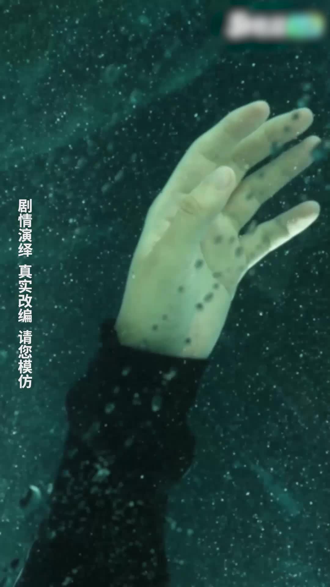 "Tái sinh, tôi không phải là kẻ nịnh hót" Tập 4