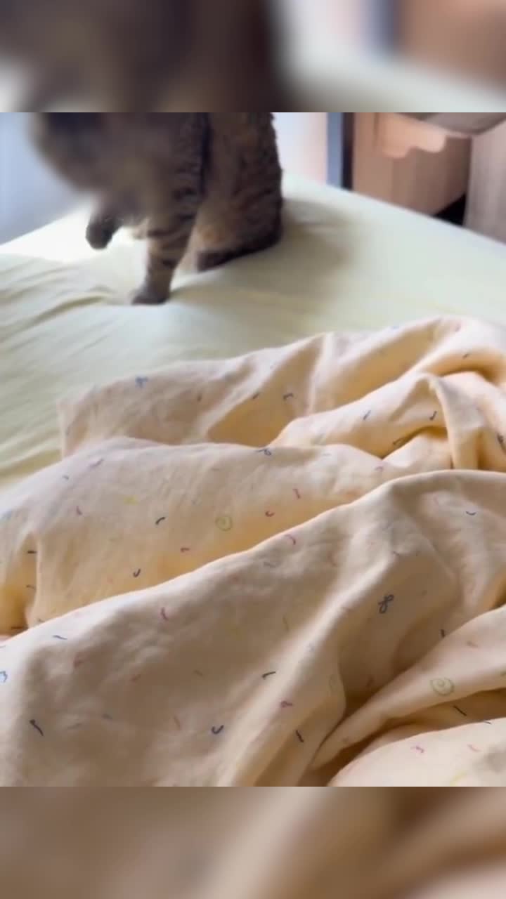 Vlog imersivo de vendas B, é tão difícil adivinhar, sem olhar para a cara, que o tipo é apenas um gordo feio