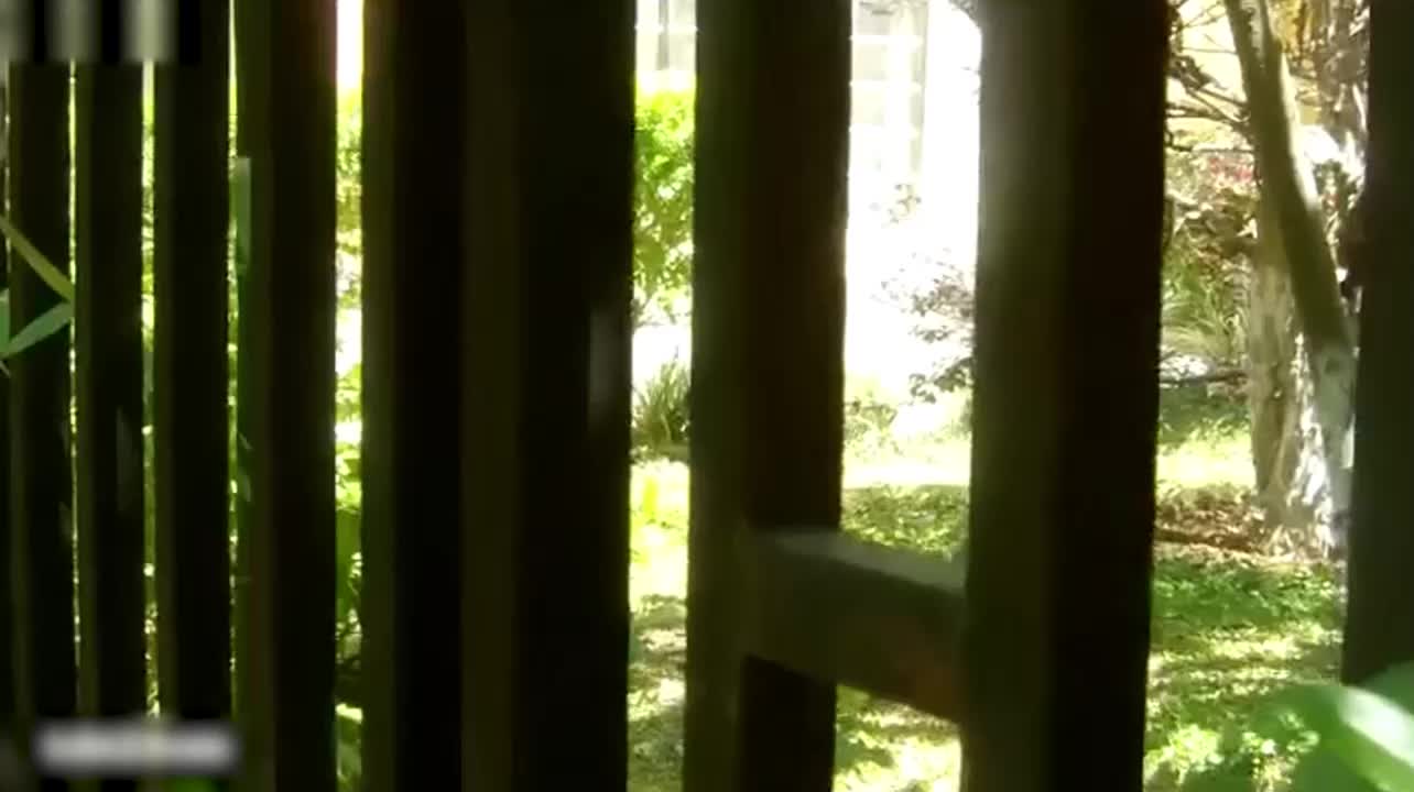 av国产自拍 - Theo dõi và xâm nhập vào nhà, cưỡng hiếp một phụ nữ bất cẩn, thô bạo xé rách áo của cô ta.